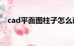 cad平面图柱子怎么画（cad柱子怎么画）