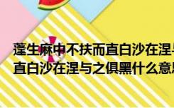 蓬生麻中不扶而直白沙在涅与之俱黑含义（蓬生麻中不扶而直白沙在涅与之俱黑什么意思）