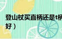 登山杖买直柄还是t柄（登山杖直柄好还是t柄好）
