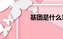基团是什么意思（基团）
