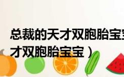 总裁的天才双胞胎宝宝总裁的女女（总裁的天才双胞胎宝宝）