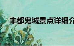 丰都鬼城景点详细介绍（丰都鬼城简介）