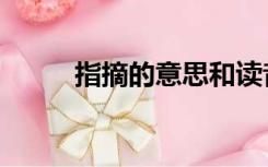 指摘的意思和读音（指摘的意思）