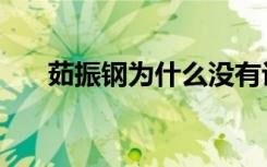 茹振钢为什么没有评上院士（茹振刚）