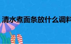 清水煮面条放什么调料（煮面条放什么调料）