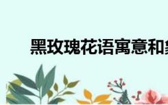 黑玫瑰花语寓意和象征（黑玫瑰花语）