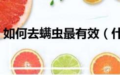 如何去螨虫最有效（什么方法去螨虫效果好）