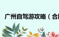 广州自驾游攻略（合肥到广州自驾游攻略）