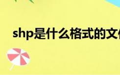 shp是什么格式的文件（shp格式是什么）