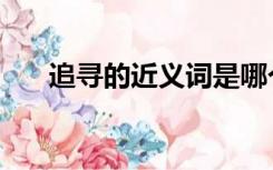 追寻的近义词是哪个（追寻的近义词）