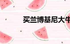 买兰博基尼大牛（买兰博基尼）