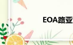 EOA路亚饵（eoa）