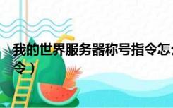 我的世界服务器称号指令怎么打开（我的世界服务器称号指令）