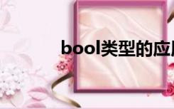 bool类型的应用（bool类型）