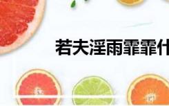 若夫淫雨霏霏什么意思（若夫）