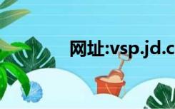 网址:vsp.jd.com（vsp jd）