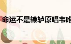 命运不是辘轳原唱韦唯（命运不是辘轳原唱）