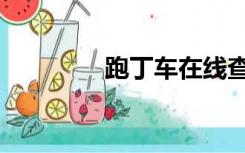 跑丁车在线查询（跑丁车）