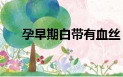 孕早期白带有血丝（白带褐色有血丝）
