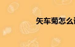 矢车菊怎么读（矢车菊）