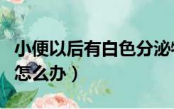 小便以后有白色分泌物（小便后有白色分泌物怎么办）