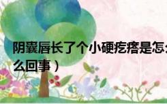 阴囊唇长了个小硬疙瘩是怎么回事（脸上长了个硬疙瘩是怎么回事）