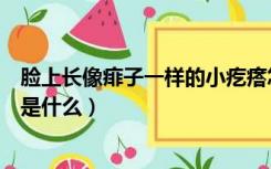 脸上长像痱子一样的小疙瘩怎么办（脸上像痱子一样的小粒是什么）