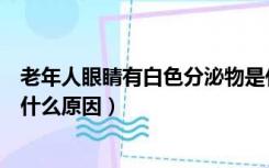老年人眼睛有白色分泌物是什么原因（眼睛有白色分泌物是什么原因）
