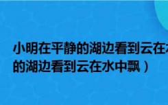 小明在平静的湖边看到云在水中飘鱼在云上飞（小明在平静的湖边看到云在水中飘）