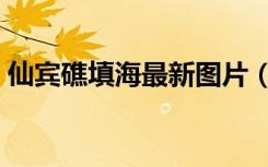 仙宾礁填海最新图片（美济礁填海最新图片）