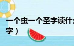 一个虫一个圣字读什么（一个虫一个圣是什么字）