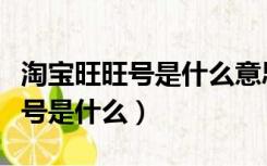 淘宝旺旺号是什么意思哪里能看到（淘宝旺旺号是什么）