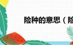 险种的意思（险种是什么意思）