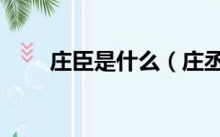 庄臣是什么（庄丞相家有几个孩子）
