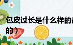 包皮过长是什么样的症状（包皮过长是什么样的）