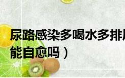 尿路感染多喝水多排尿有用吗（尿道炎多喝水能自愈吗）