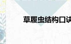 草履虫结构口诀（草履虫结构）