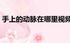 手上的动脉在哪里视频（手上的动脉在哪里）