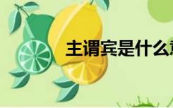 主谓宾是什么意思（主谓宾）