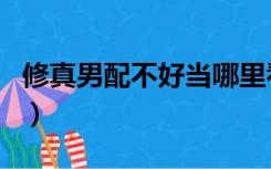 修真男配不好当哪里看结局（修真男配不好当）