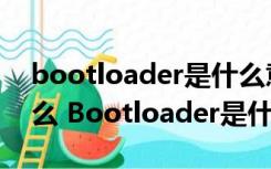 bootloader是什么意思（bootloader是什么 Bootloader是什么意思）