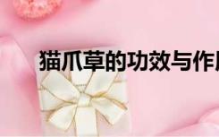 猫爪草的功效与作用（猫爪草的图片）