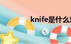 knife是什么意思（knife）