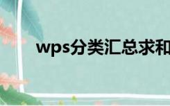 wps分类汇总求和（WPS分类汇总）