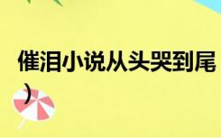 催泪小说从头哭到尾（超虐的小说从头哭到尾）