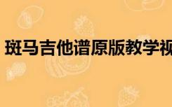 斑马吉他谱原版教学视频（斑马吉他谱原版）