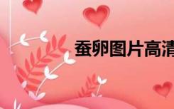 蚕卵图片高清（蚕卵图片）