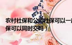 农村社保和公司社保可以一起交吗（农村交社保和公司的社保可以同时交吗）