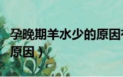 孕晚期羊水少的原因有哪些（孕晚期羊水少的原因）