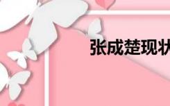 张成楚现状（张成楚）